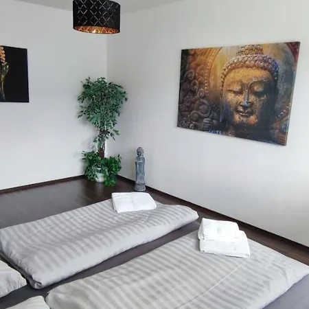 Buddha Na Sidlisku 2 Izbovy Byt Nedaleko Centra, 24h Self Checkin *
